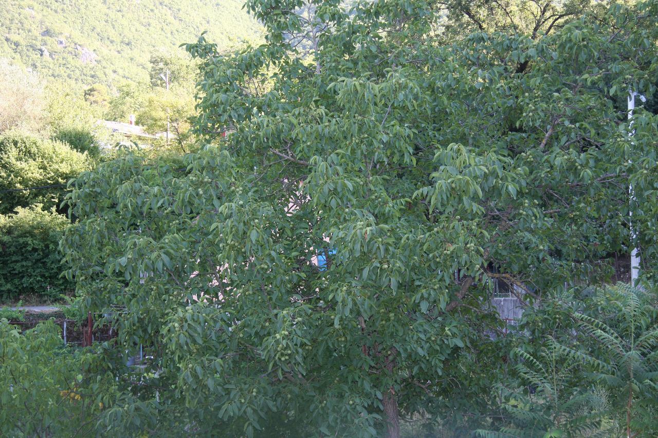 Vržina Farm House Skadar Lake Virpazar Exteriör bild