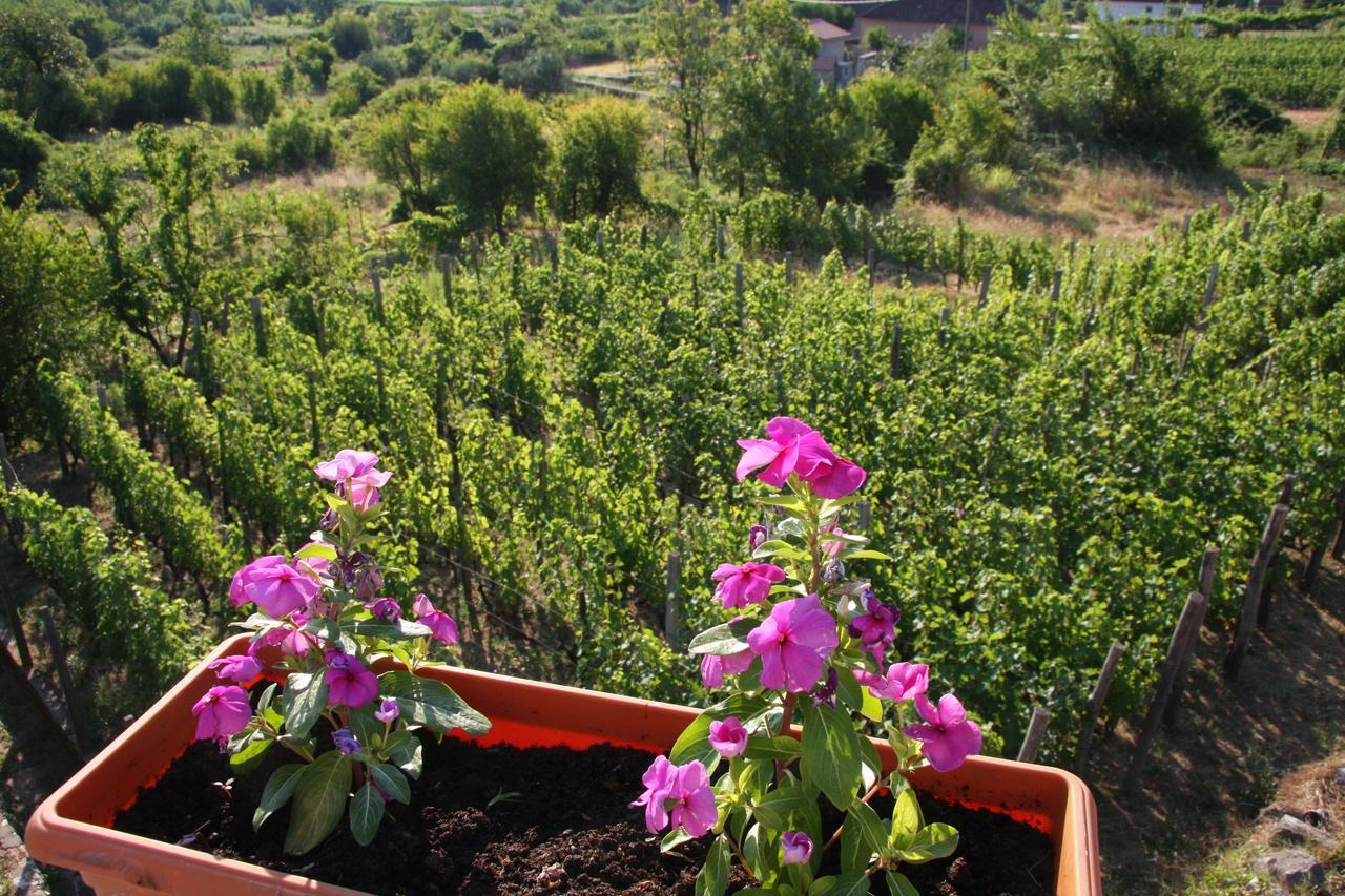 Vržina Farm House Skadar Lake Virpazar Exteriör bild