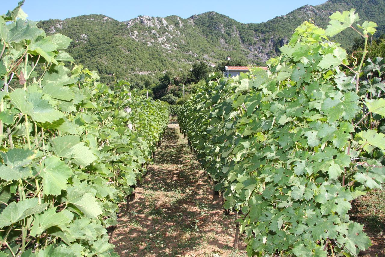 Vržina Farm House Skadar Lake Virpazar Exteriör bild