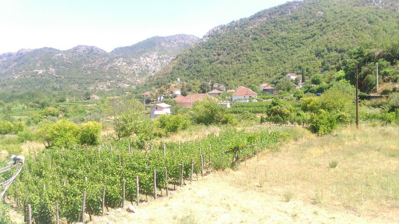 Vržina Farm House Skadar Lake Virpazar Exteriör bild