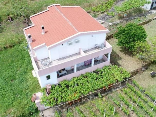 Vržina Farm House Skadar Lake Virpazar Exteriör bild